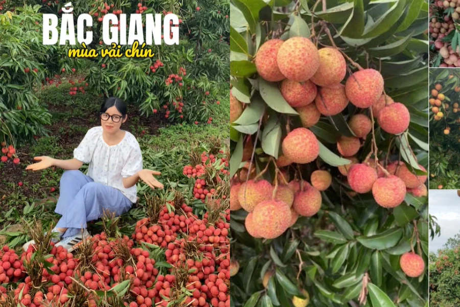 Nghỉ hè không "xả hơi": Khi sinh viên về phụ mẹ bán vải