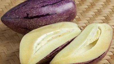 Dưa “cà tím” giá 160.000 đồng/kg vẫn cháy hàng