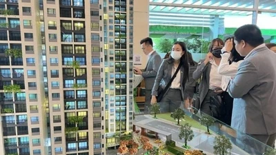 TP HCM: Doanh nghiệp bất động sản không được ủy quyền đặt cọc, mua bán