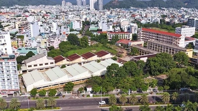 Gia Lai: Đấu giá khu đất vàng hơn 1.193 tỷ đồng tại Quy Nhơn