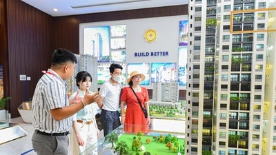 Thị trường căn hộ TP HCM “ấm” trở lại?