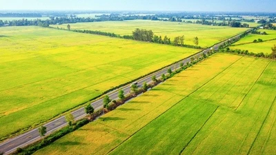 Cần Thơ nâng cấp quốc lộ 61C, hoàn thiện mạng lưới giao thông chống ngập