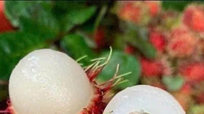 Giá trái cây giảm sâu