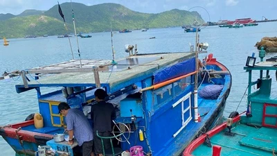 Chất độc xyanua xuất hiện trên tàu cá ở Côn Đảo 
