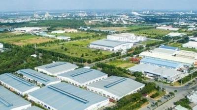 Đà Nẵng xử phạt 2 doanh nghiệp 350 triệu đồng vì vi phạm môi trường