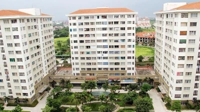 Người độc thân thu nhập 20 triệu/tháng có thể mua nhà ở xã hội