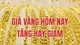 Giá vàng tăng không phanh, nhà đầu tư nên mua hay chờ?