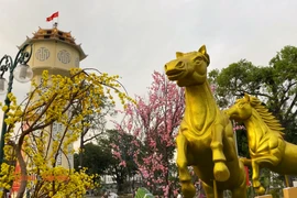 Không khí Tết rộn ràng tại đại cảnh hoa Xuân phường Phan Thiết