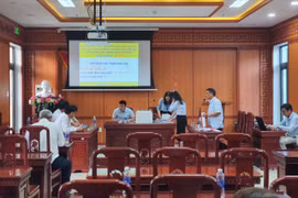 Mỏ cát trúng đấu giá 138 tỉ, gấp gần 77 lần giá khởi điểm