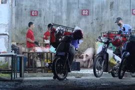 Có hay không việc 'thả nổi' kiểm dịch 90% thịt lợn ở Quảng Trị?