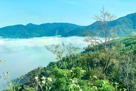 Khánh Hòa: Gói thầu xây mới Trạm kiểm lâm Sơn Trung- Sơn Bình về tay Cty Ibon