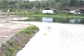 Dakwaco muốn trả lại 24 công trình, Chủ tịch nói trò trẻ con