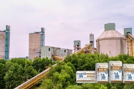 VICEM Hà Tiên bị xử phạt và truy thu thuế hơn 2,6 tỷ đồng