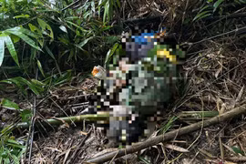 Người đàn ông tử vong trong rừng ở Lâm Đồng, nghi bị voi tấn công