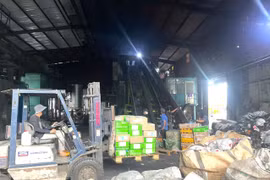 Tiêu hủy 30 tấn thực phẩm đông lạnh nhiễm bẩn ở Đồng Nai