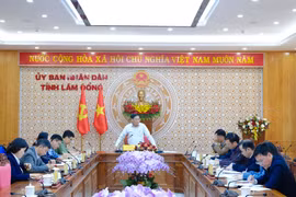 Lâm Đồng tập trung đẩy nhanh Tổng điều tra kinh tế năm 2026