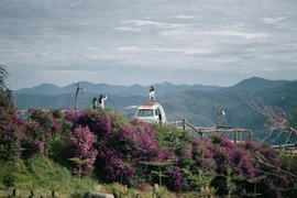 Trong 4 ngày nghỉ Tết Dương lịch 2026, Lâm Đồng ước đón khoảng 650.000 lượt khách.