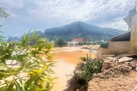 Lâm Đồng di dời dân ở D’ran khỏi vùng nguy cơ sạt lở