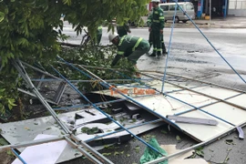 Cây xanh đổ gây thiệt hại về tài sản.