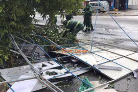 Cây xanh đổ gây thiệt hại về tài sản.