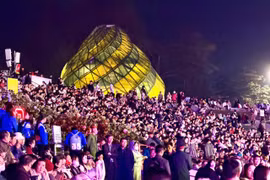 Khai mạc Lễ hội hoa mai anh đào Đà Lạt xuân 2026