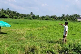 Đất công bỏ hoang hàng chục năm ở xã An Thạnh Thủy (Đồng Tháp)