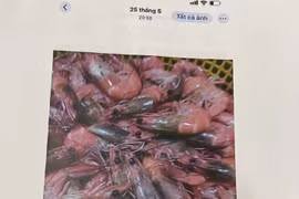 Vụ dân tố 'thực phẩm bẩn' tuồn vào trường học: Tiếp tục đình chỉ công tác hiệu trưởng