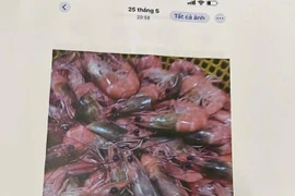 Vụ dân tố 'thực phẩm bẩn' tuồn vào trường học: Tiếp tục đình chỉ công tác hiệu trưởng