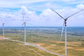 Lâm Đồng tìm giải pháp gỡ vướng cho dự án điện gió