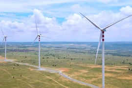 Lâm Đồng tìm giải pháp gỡ vướng cho dự án điện gió