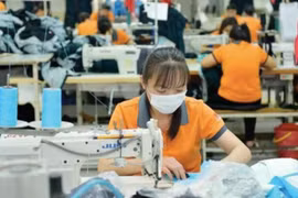 Lo vướng thủ tục kế toán cho doanh nghiệp siêu nhỏ