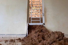 Sạt lở lan rộng tại đồi thông 35ha, cưỡng chế di dời các hộ dân ở Lâm Đồng