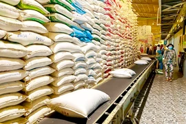 Nỗ lực mở rộng thị trường xuất khẩu gạo