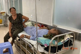 Phát hiện vi khuẩn Salmonella trong mẫu bánh mì vụ ngộ độc ở Lâm Đồng