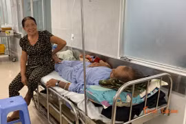 Phát hiện vi khuẩn Salmonella trong mẫu bánh mì vụ ngộ độc ở Lâm Đồng