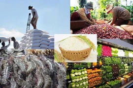 Ấn tượng Việt Nam: Từ quốc gia thiếu đói đến cường quốc nông sản