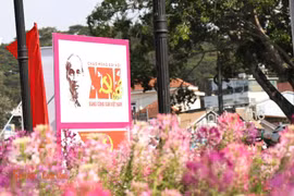 Lâm Đồng rực rỡ cờ hoa chào mừng Đại hội đại biểu toàn quốc lần thứ XIV của Đảng