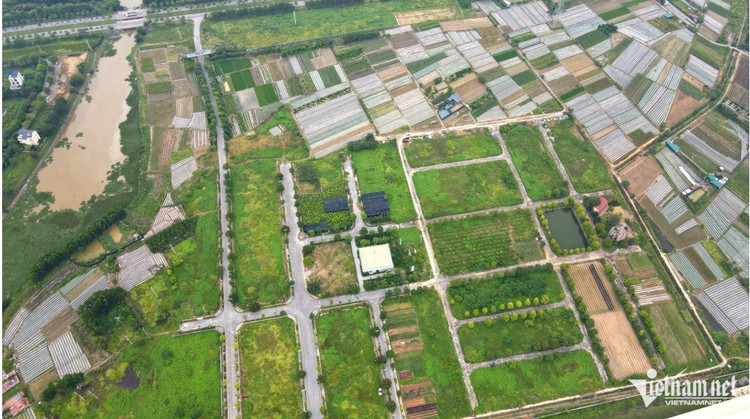 Thạch Thảo bds-7-8.png