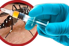 Vacxin sốt xuất huyết đầu tiên được WHO phê chuẩn