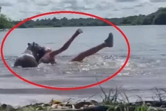 Đang bơi, người phụ nữ gặp chuyện kinh hãi