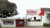 Đồng Nai: Đình chỉ hai nhà máy của Cadivi Miền Đông, phạt gần 900 triệu đồng