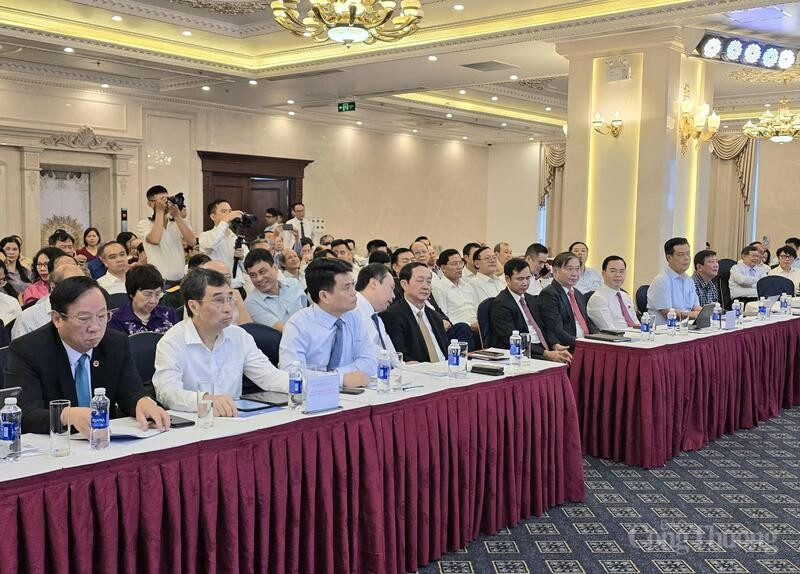 Các đại biểu tham dự hội nghị