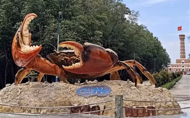 Biểu tượng cua Cà Mau - tinh hoa ẩm thực của rừng ngập mặn