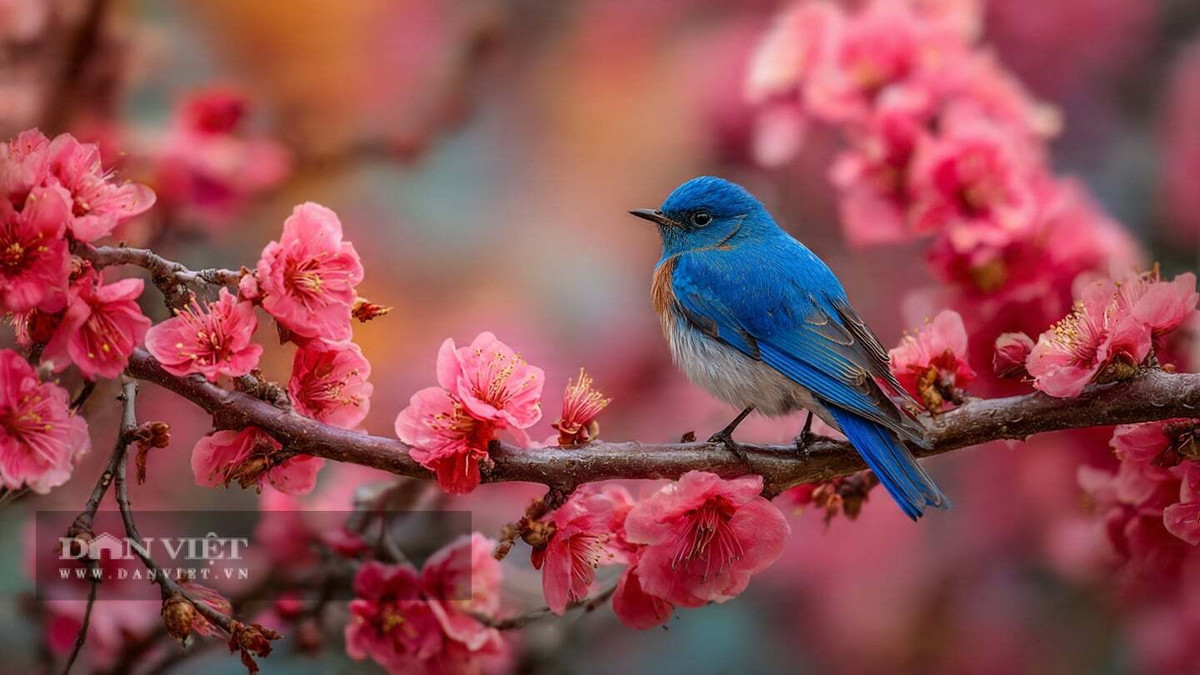 Người xưa cho rằng, "Ngày mùng 2 tháng 2 Âm lịch, hãy đi ngủ sớm, đừng đè lên đầu và đừng cong lưng."