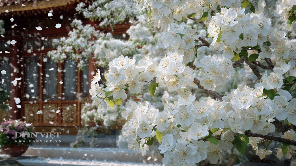 Người xưa cho rằng, cố gắng đừng gội đầu muộn vào tối.