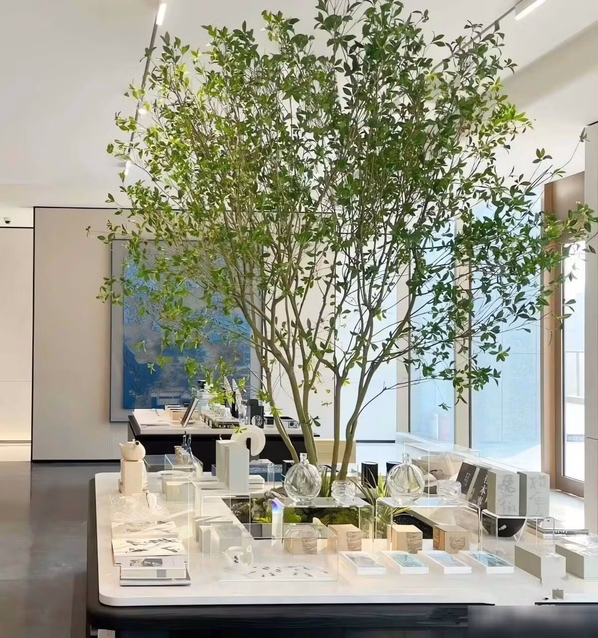 Cây cảnh với tán lá xanh tươi cũng giúp thanh lọc không khí