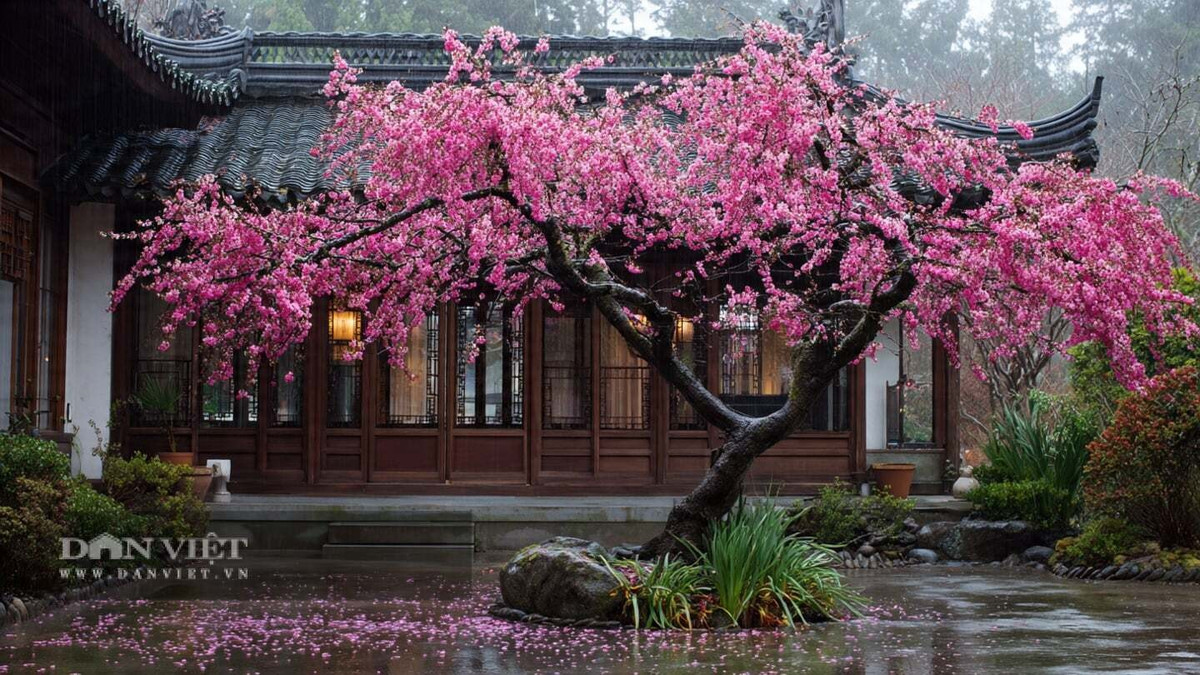 Người xưa dặn vào ngày này cần tránh ăn những thực phẩm quá cay hoặc quá nhiều dầu mỡ