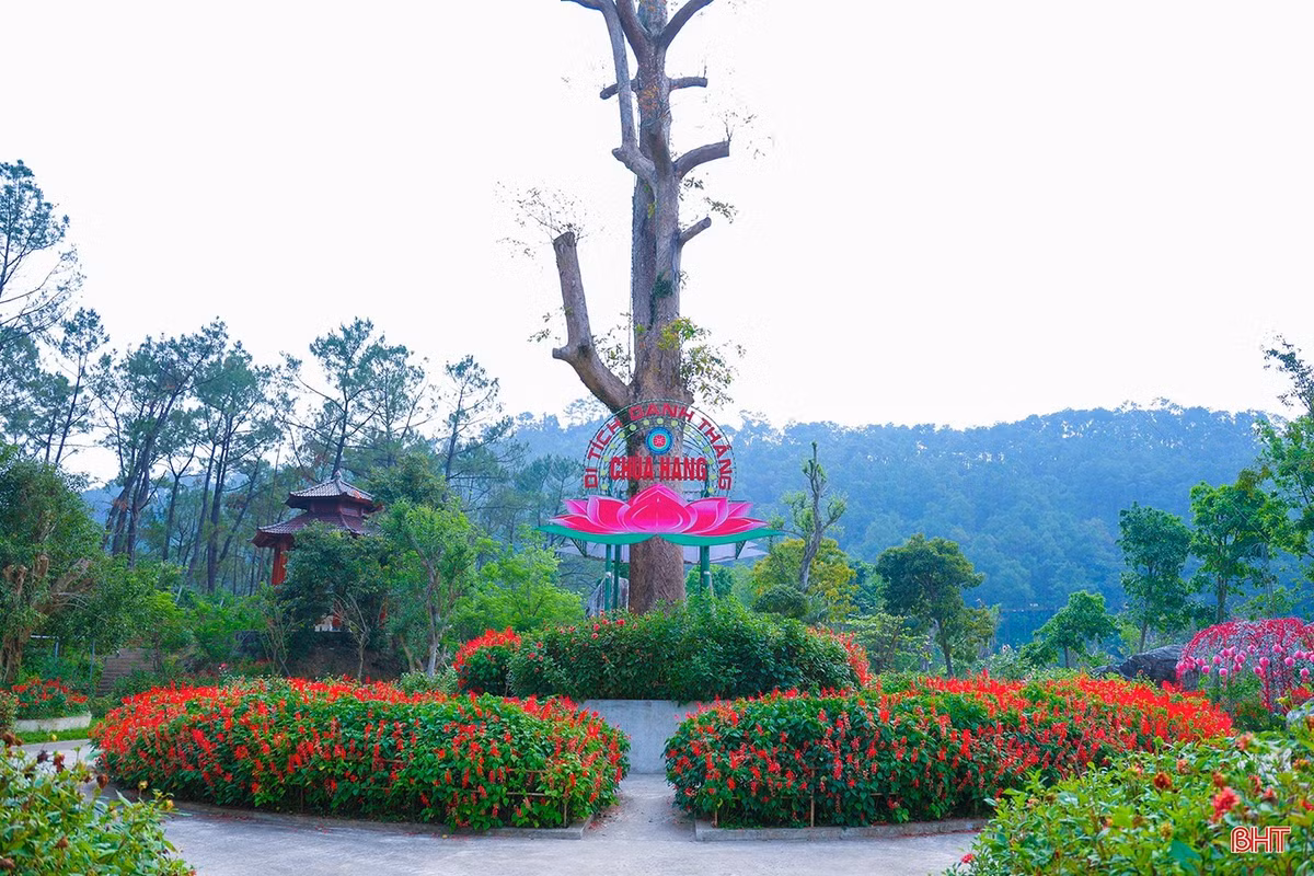 Nơi đây từ lâu đã trở thành điểm đến quen thuộc của phật tử và du khách thập phương trong hành trình khám phá vùng đất Hồng Lam.