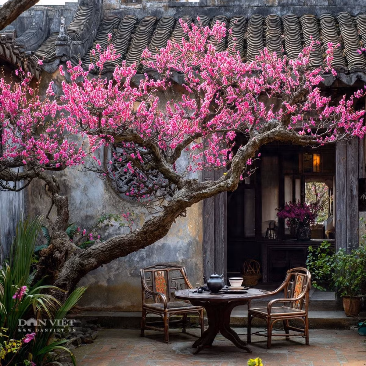 Người xưa đặc biệt yêu thích hoa mơ mai vì chúng tượng trưng cho "vị đắng tiếp nối vị ngọt".