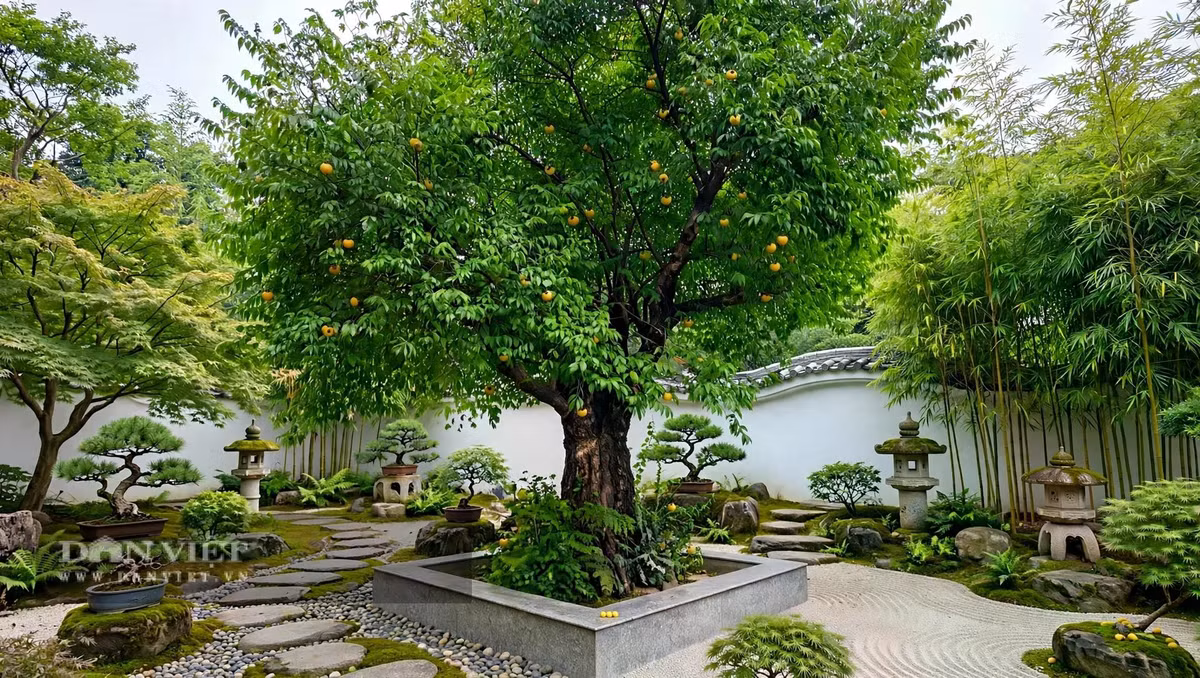 Trồng cây cảnh này, cả khu vườn mùa thu thơm phức